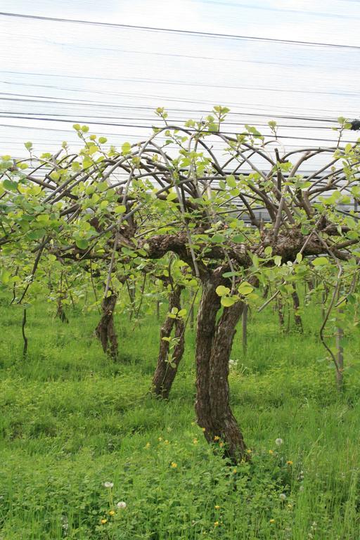 La Meridiana Crocetta del Montello 외부 사진